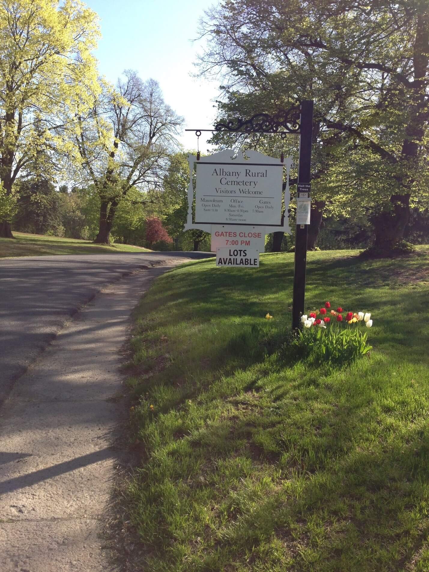 Albany Rual Cemetry 1