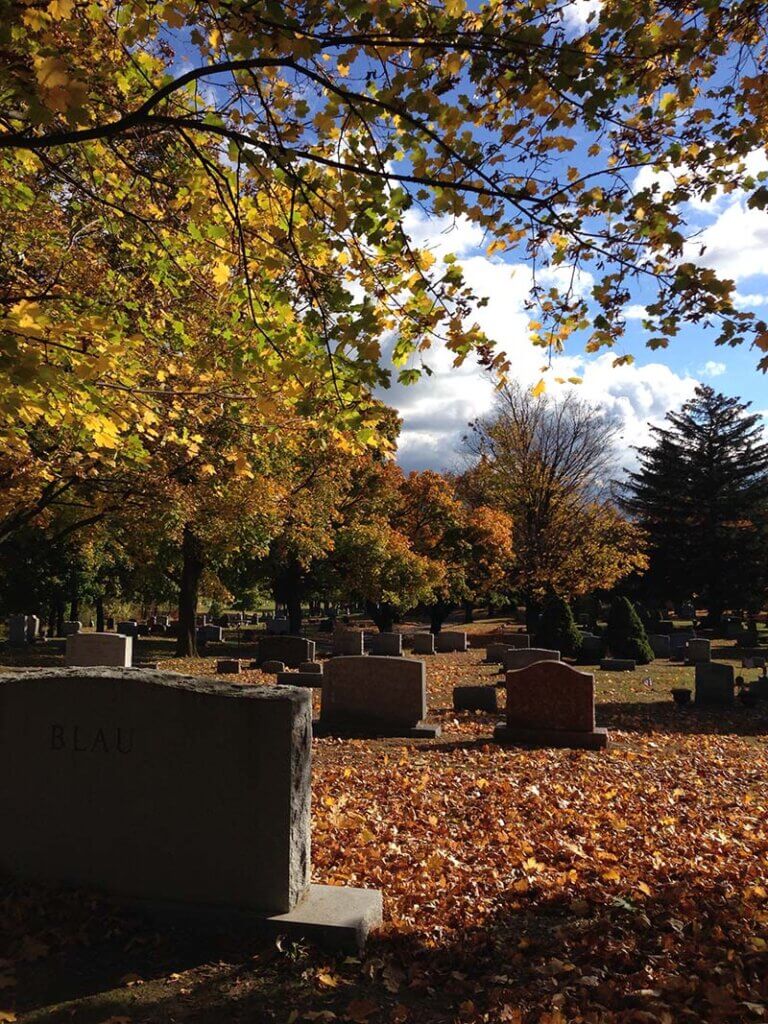 Albany Rural Cemetery